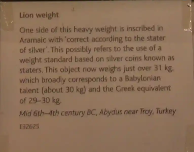 Lion weight
